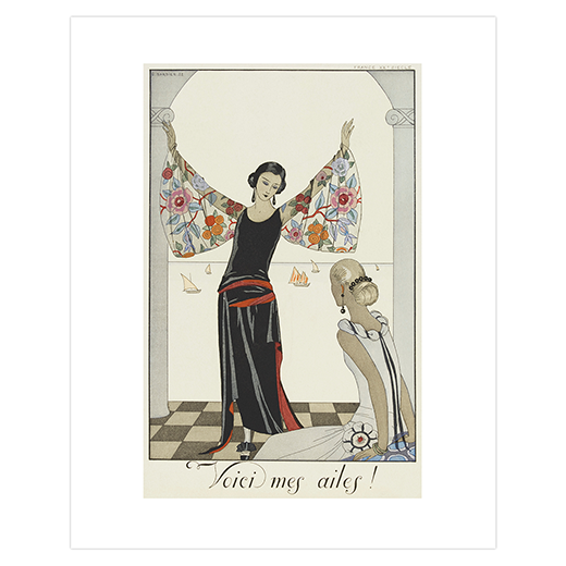 Voici Mes Ailes 11x14" mounted print